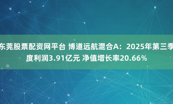 东莞股票配资网平台 博道远航混合A：2025年第三季度利润3.91亿元 净值增长率20.66%
