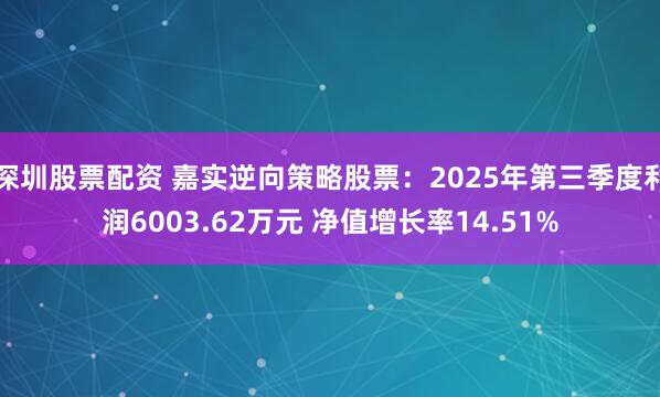 深圳股票配资 嘉实逆向策略股票：2025年第三季度利润6003.62万元 净值增长率14.51%