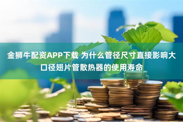 金狮牛配资APP下载 为什么管径尺寸直接影响大口径翅片管散热器的使用寿命