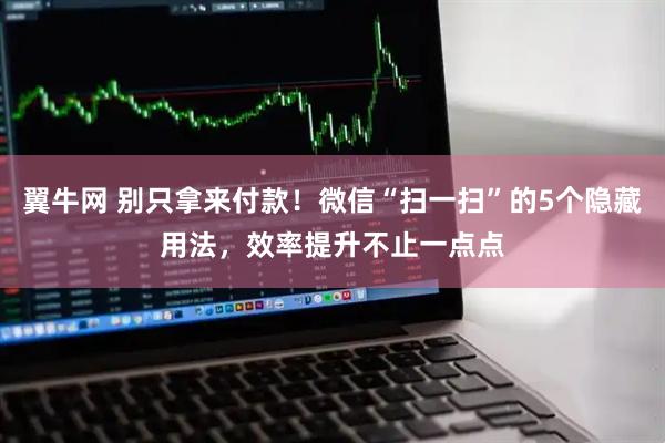 翼牛网 别只拿来付款！微信“扫一扫”的5个隐藏用法，效率提升不止一点点