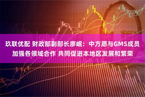 玖联优配 财政部副部长廖岷：中方愿与GMS成员加强各领域合作 共同促进本地区发展和繁荣