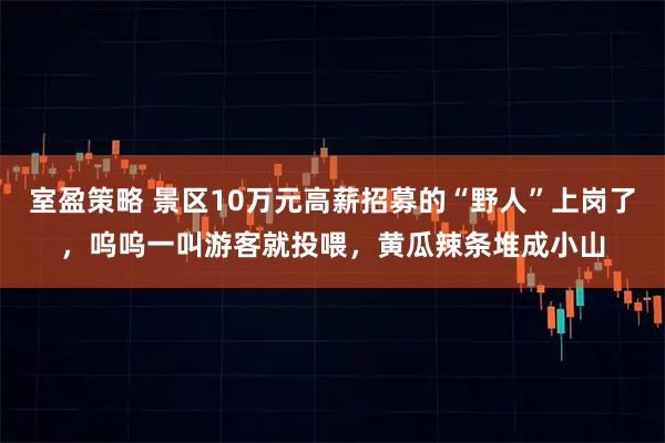 室盈策略 景区10万元高薪招募的“野人”上岗了，呜呜一叫游客就投喂，黄瓜辣条堆成小山